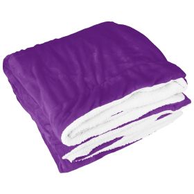 Fleece Throw Blanket Warm Soft Flannel Bed Cover Cuddly Cozy Sofa Travel Car Blanket w/ Queen King Throw Size Optional (Color: Plum, size: One size)